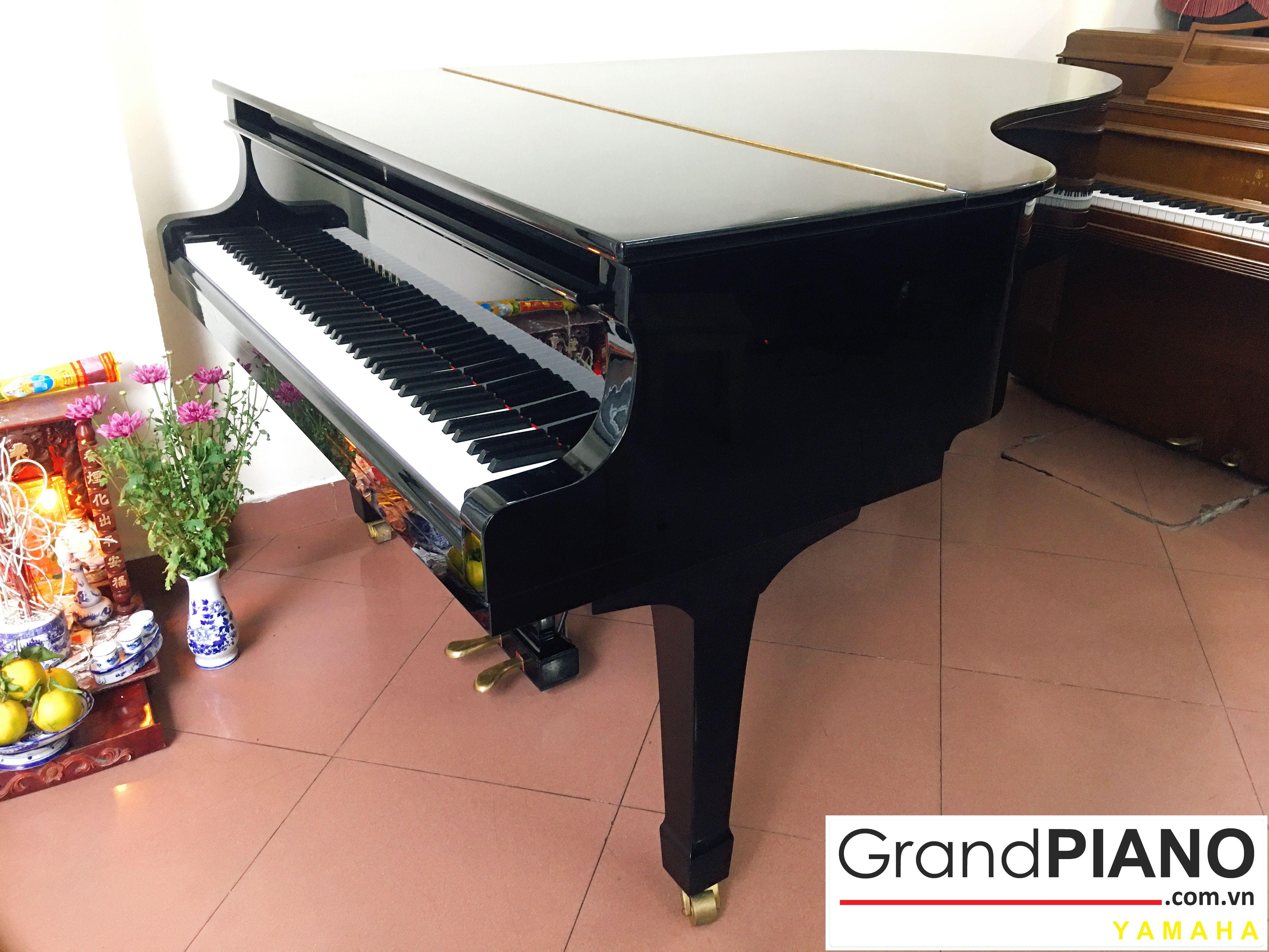 YAMAHA G5E SERI: 2273010 ✅ 